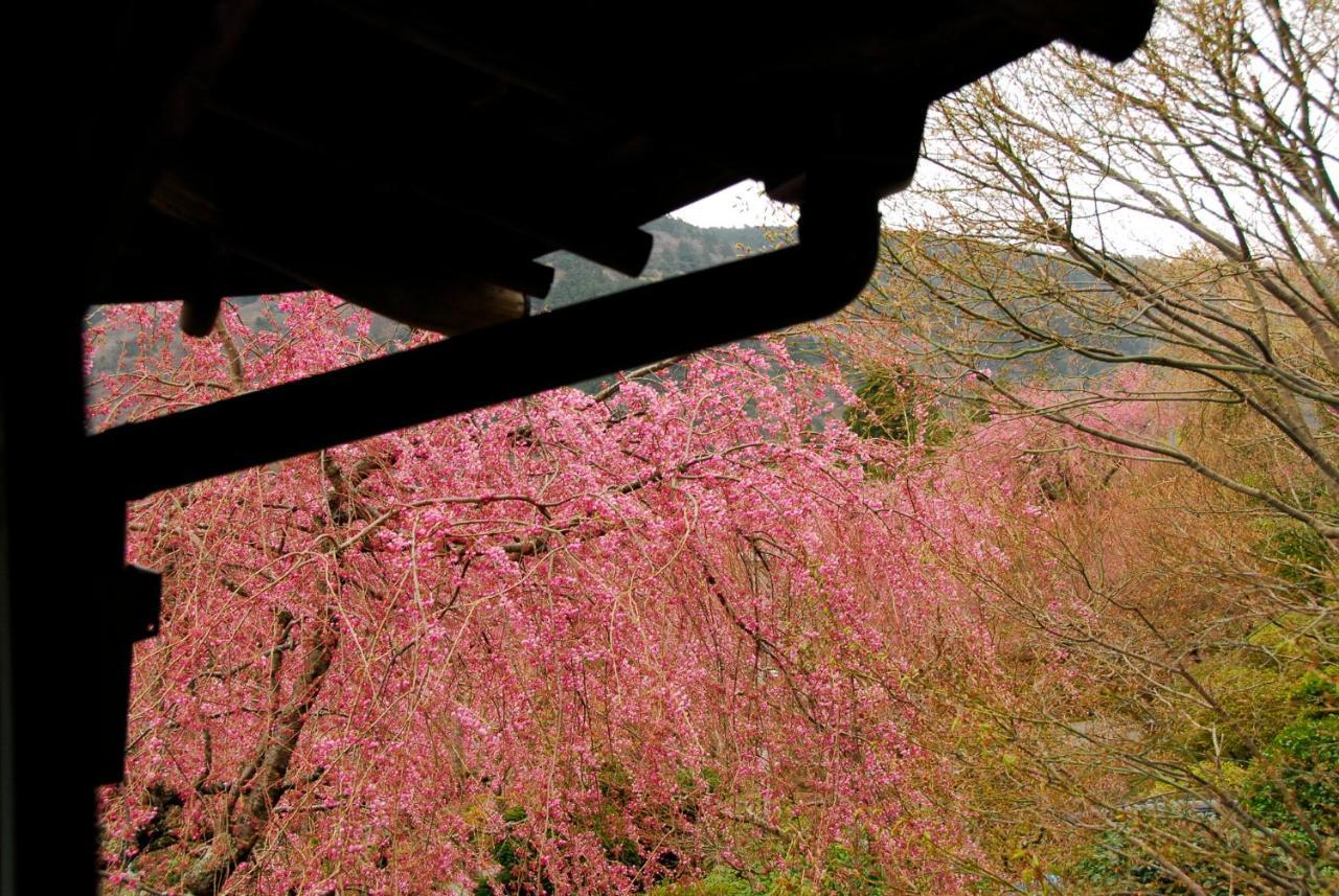 Hakone Kowakien Mikawaya Ryokan Eksteriør billede